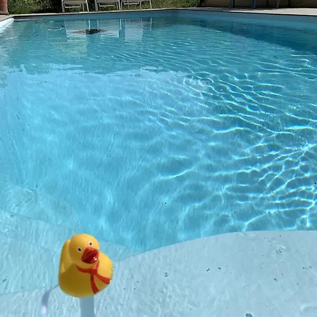 Prázdninový dům Et Au Milieu Coule Un Ruisseau - Piscine, Jacuzzi Prive, Boulodrome