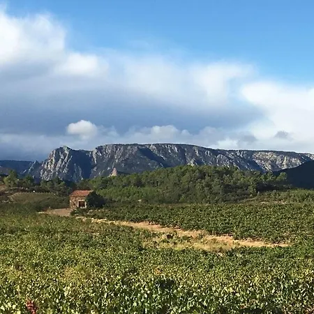 Et Au Milieu Coule Un Ruisseau - Piscine, Jacuzzi Prive, Boulodrome Berlou