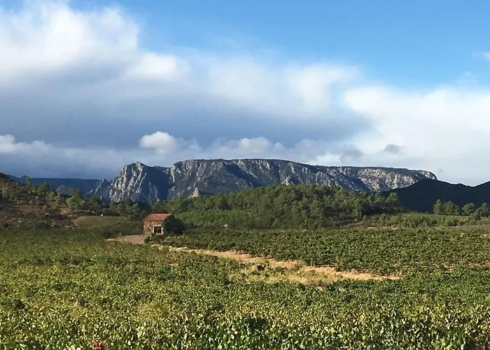 Et Au Milieu Coule Un Ruisseau - Piscine, Jacuzzi Prive, Boulodrome Berlou