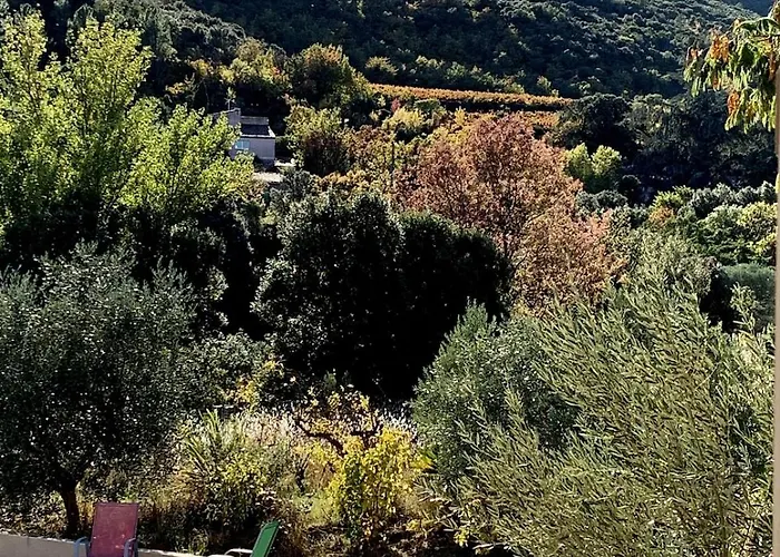 Nyaraló Et Au Milieu Coule Un Ruisseau - Piscine, Jacuzzi Prive, Boulodrome *