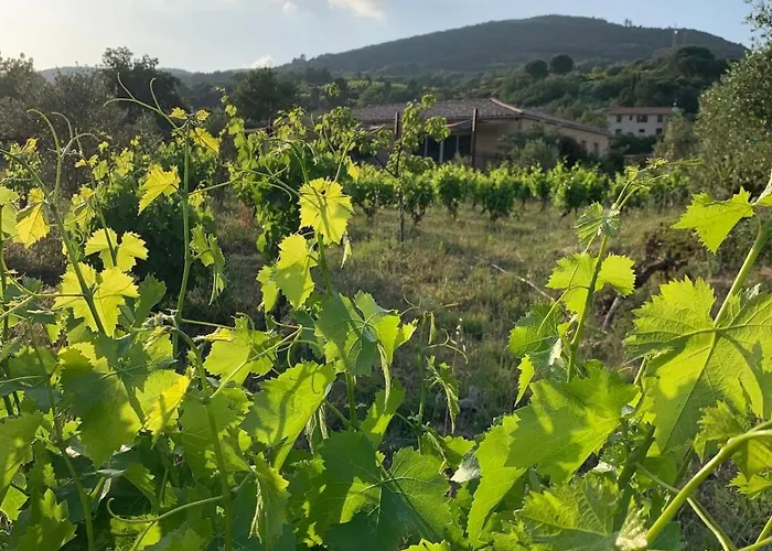Et Au Milieu Coule Un Ruisseau - Piscine, Jacuzzi Prive, Boulodrome Nyaraló